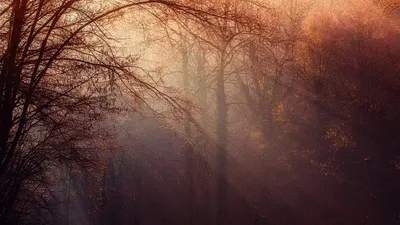 штормовое предупреждение, фото - Новости Zakon.kz от 03.10.2025 19:48