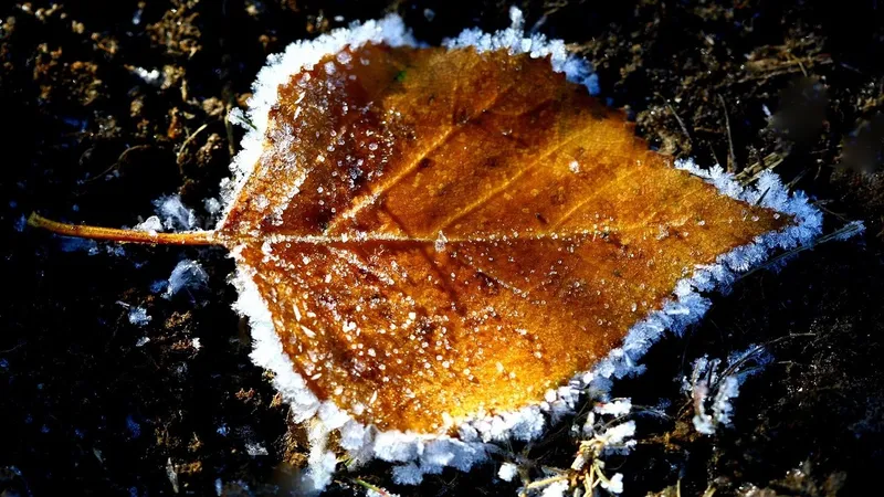 Заморозки, ветер и гололед: в 13 регионах РК объявили штормовое предупреждение