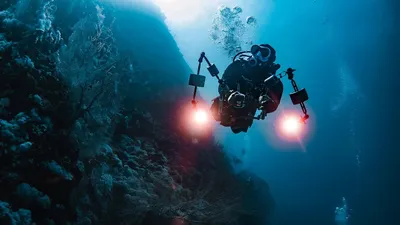 Красное море, ученые, исследования, фото - Новости Zakon.kz от 05.10.2025 02:30