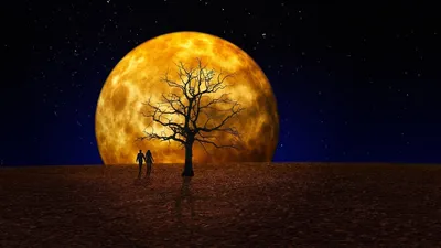 Луна, суперлуние, урожайная луна, октябрь , фото - Новости Zakon.kz от 05.10.2025 18:36