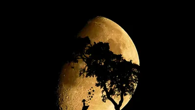 Луна, солнце, астрономия, Найка, суперлуние , фото - Новости Zakon.kz от 06.10.2025 00:02