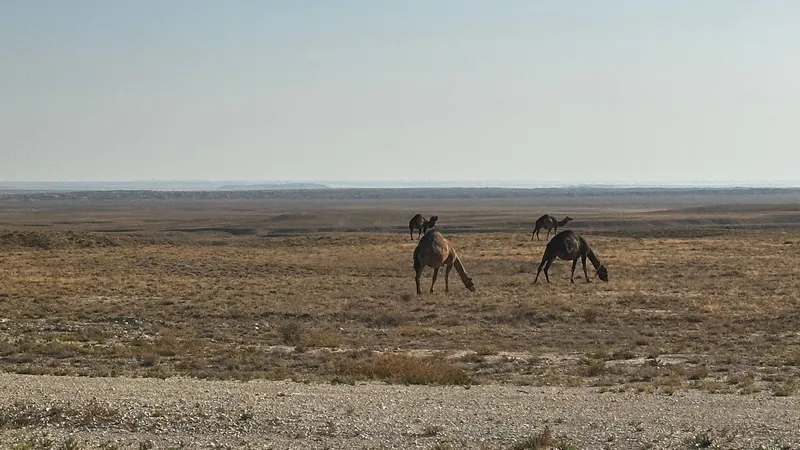 Актау, путешествие, туризм   , фото - Новости Zakon.kz от 06.10.2025 17:07