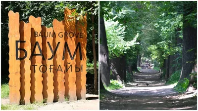 Алматы, роща Баума, фото - Новости Zakon.kz от 26.10.2025 14:40