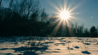 , фото - Новости Zakon.kz от 07.10.2025 18:06