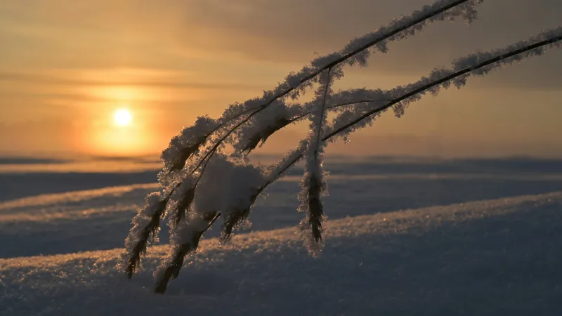 Названы регионы Казахстана, в которых похолодает до -6°С и ожидается снег