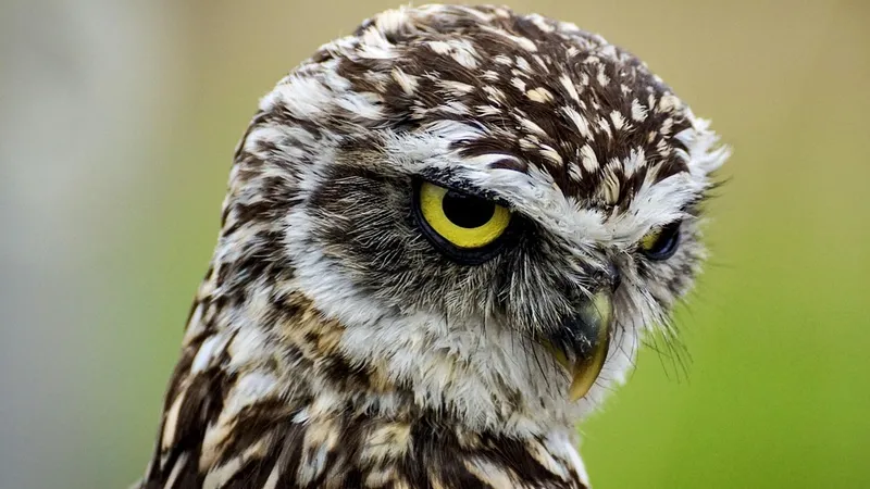 Гороскоп на 6 октября: побудьте в гордом одиночестве