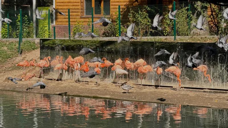Обезьяны в тепле, медведи на солнце: как зоопарк Алматы встречает холода  – фоторепортаж