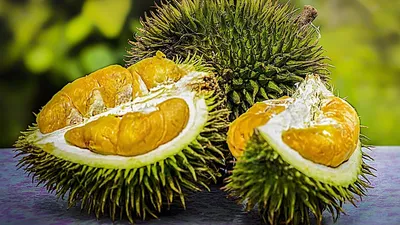 Запах дуриана , фото - Новости Zakon.kz от 08.10.2025 03:39