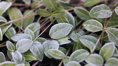 , фото - Новости Zakon.kz от 08.10.2025 15:03