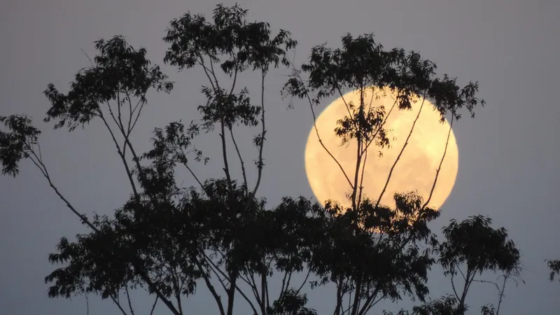 Небо над Астаной озарило суперлуние: жители поделились завораживающими кадрами