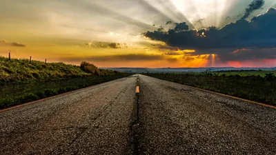 , фото - Новости Zakon.kz от 09.10.2025 14:47