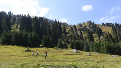 Горы, гора, горная местность, горный туризм, туристы в горах, фото - Новости Zakon.kz от 24.11.2025 15:50