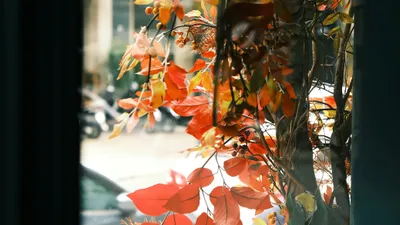 , фото - Новости Zakon.kz от 08.10.2025 17:36