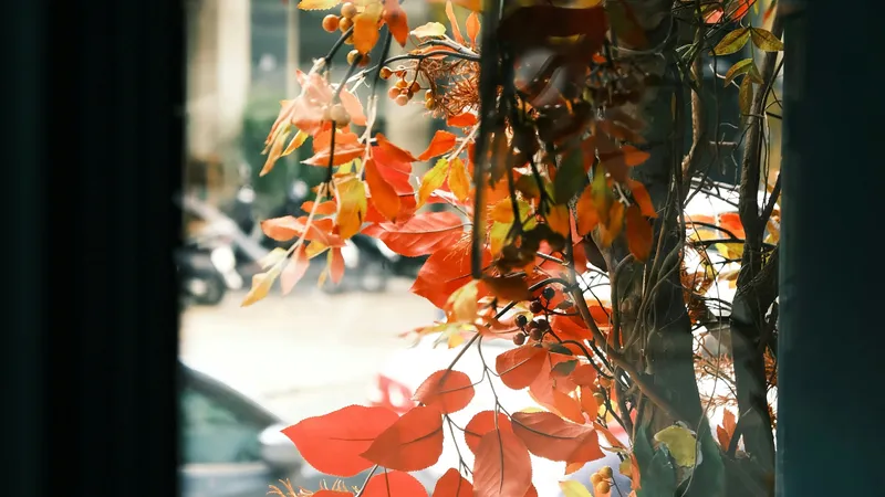 От -3°С до +26°С: синоптики обновили прогноз погоды по Астане, Алматы и Шымкенту на три дня