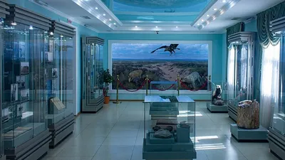 Останки динозавра нашли в Кызылординской области, фото - Новости Zakon.kz от 10.10.2025 04:24