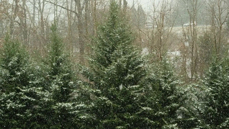 Заморозки до -6°С, снег и дожди: кому меньше повезет с погодой в Казахстане 10 октября