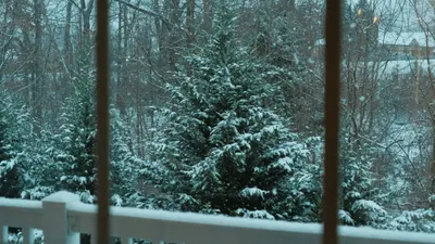 вид из окна, фото - Новости Zakon.kz от 10.10.2025 15:35