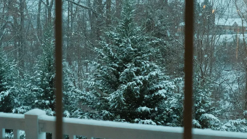 Заморозки и дожди вернутся в Алматы, и какая погода будет в Астане и Шымкенте