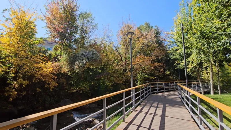 листва, золотая осень, фото - Новости Zakon.kz от 10.10.2025 18:05