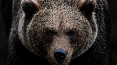 , фото - Новости Zakon.kz от 14.10.2025 17:30