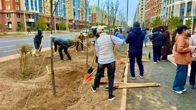 субботник, фото - Новости Zakon.kz от 11.10.2025 10:33