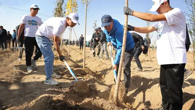 посадка дерева, фото - Новости Zakon.kz от 11.10.2025 17:09
