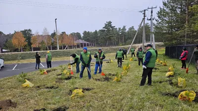 субботник, фото - Новости Zakon.kz от 11.10.2025 13:12