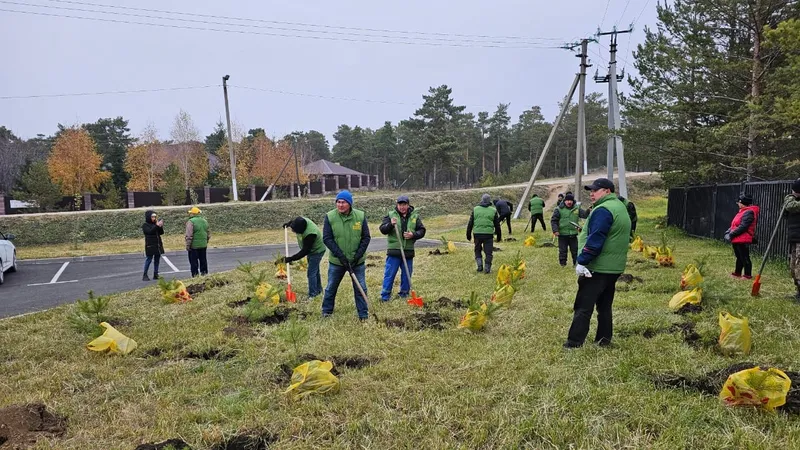 25 тысяч деревьев за день посадили в Акмолинской области в рамках акции "Таза Қазақстан"