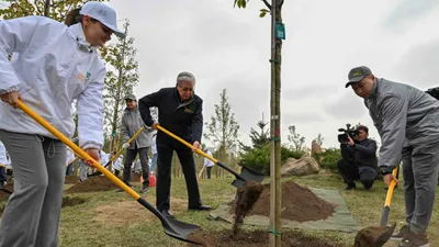 люди, фото - Новости Zakon.kz от 11.10.2025 12:11