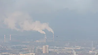 смог, фото - Новости Zakon.kz от 11.10.2025 09:02