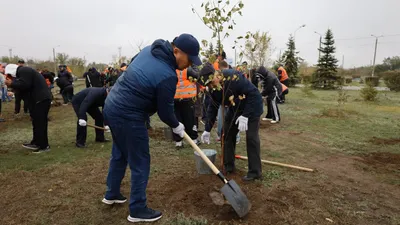 акция Таза Казахстан, фото - Новости Zakon.kz от 11.10.2025 19:16