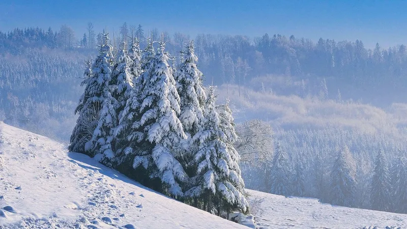 Трое туристов блуждали в горах в Карагандинской области: их нашли с помощью дронов