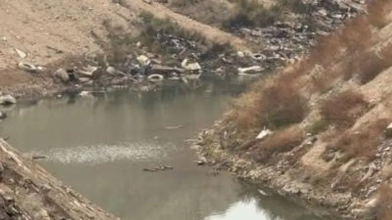 Реку засыпали мусором: как в Алматинской области борются за спасение Теренкары