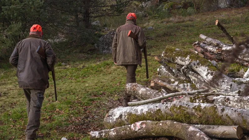 Изменились правила выдачи путевок на охоту