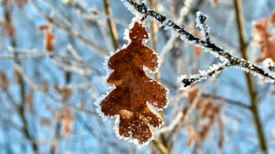 , фото - Новости Zakon.kz от 13.10.2025 17:19