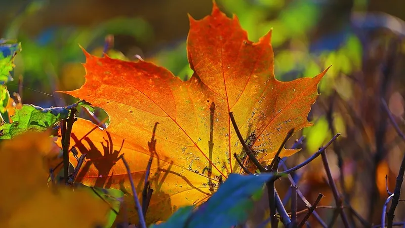 Штормовое предупреждение объявили в Казахстане на вторник