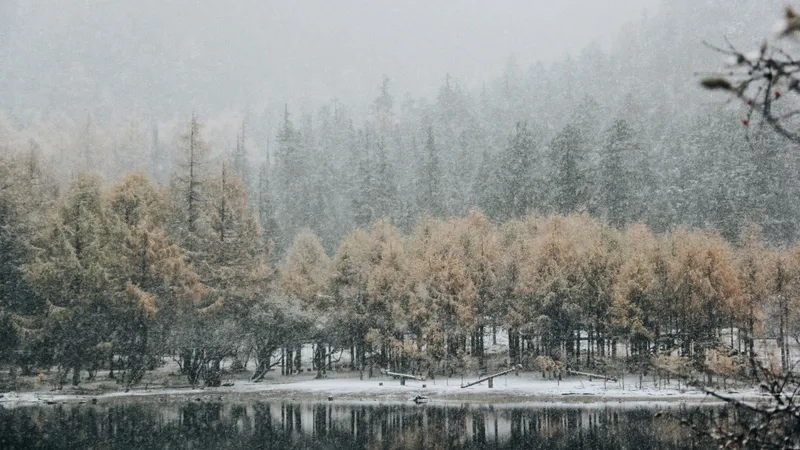 Заморозки до -3°С, снегопад и дожди обрушатся на Казахстан 14 октября