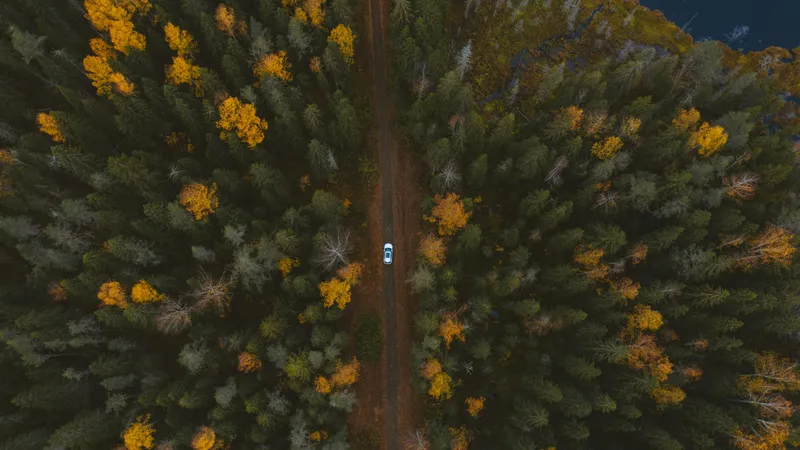 На юге – до +25°С, на севере – до -13°С: Казахстан накрывает Северный антициклон