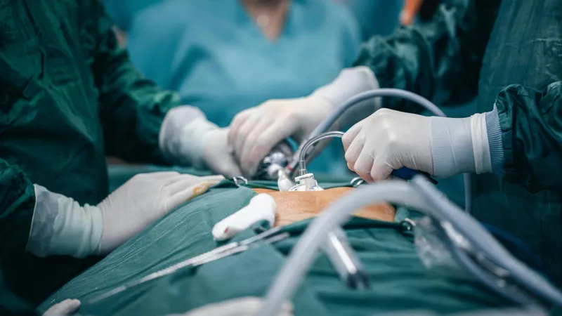 Устройство по сохранению донорских органов разработали в Казахстане