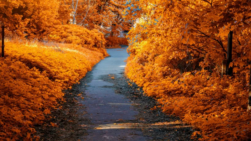 В Астане похолодает до -12°С, в Алматы потеплеет до +22°С: о погоде на 15-17 октября