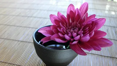 Гороскоп на 14 октября, фото - Новости Zakon.kz от 14.10.2025 08:10