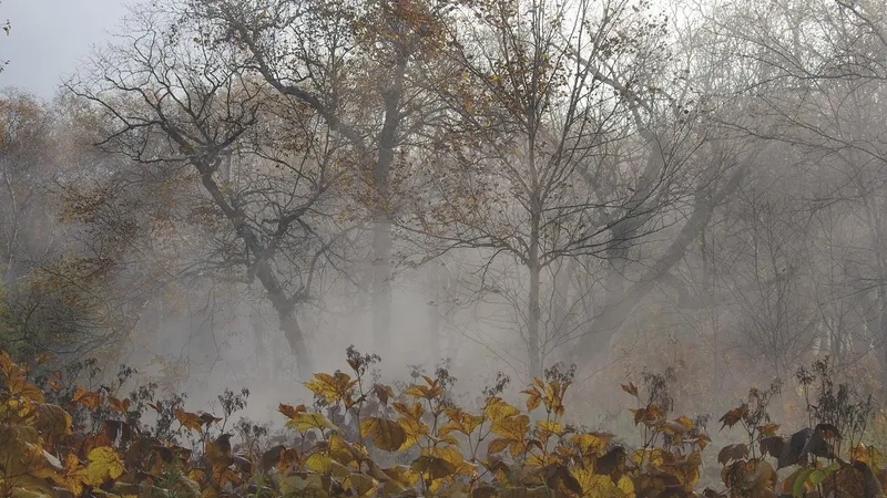 Непогода охватит Казахстан в четверг: каких областей коснулось штормовое предупреждение