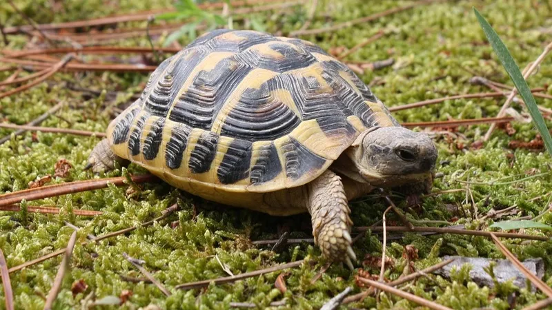 Гороскоп на 16 октября: не стоит торопиться