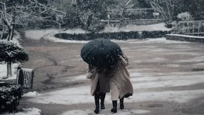 , фото - Новости Zakon.kz от 15.10.2025 15:02