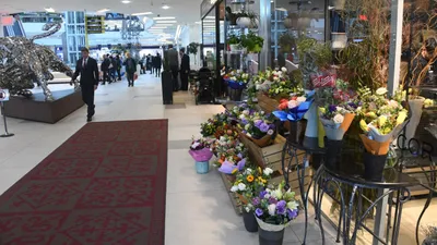 цветы, магазин, фото - Новости Zakon.kz от 15.10.2025 17:59