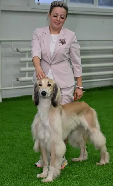 тайган Нурсултан и его хозяйка, фото - Новости Zakon.kz от 16.10.2025 11:18