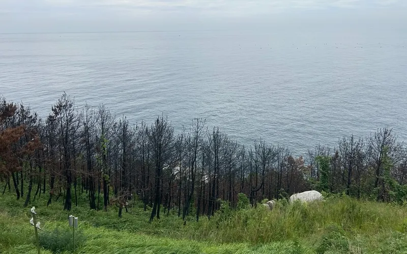 Парк, природа, вода , фото - Новости Zakon.kz от 16.10.2025 15:48