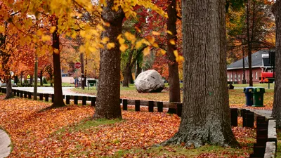 осень, парк, деревья, фото - Новости Zakon.kz от 16.10.2025 10:38