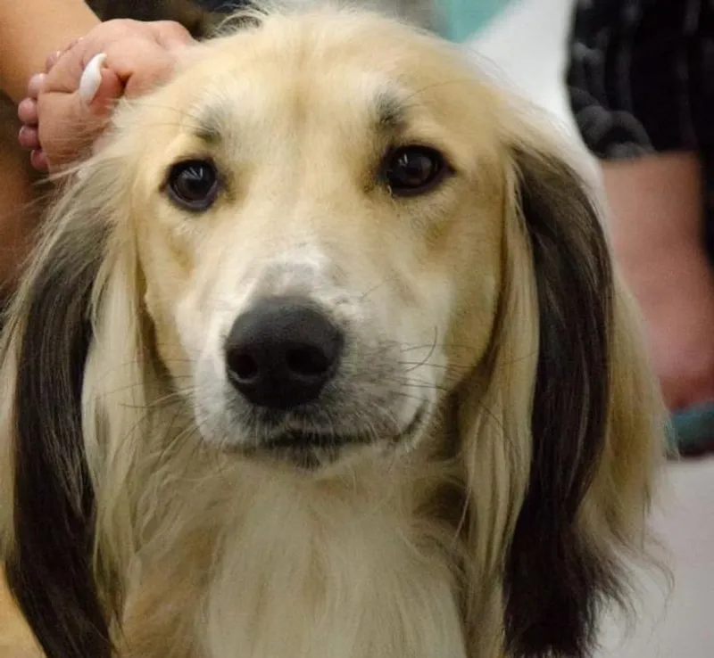 тайган Нурсултан, фото - Новости Zakon.kz от 16.10.2025 11:18