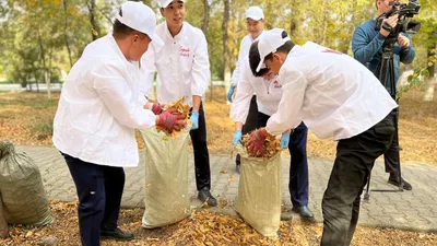 Шымкент , фото - Новости Zakon.kz от 16.10.2025 18:20